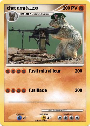Pokemon chat armé
