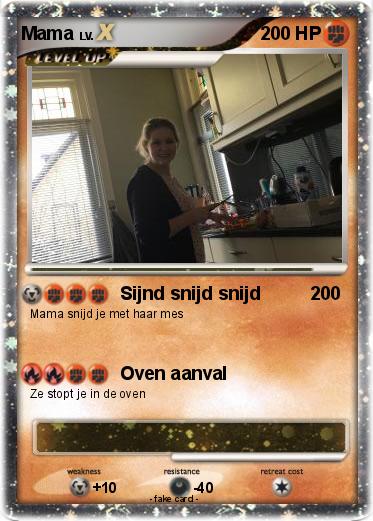 Pokemon Mama