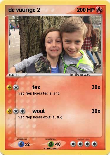 Pokemon de vuurige 2