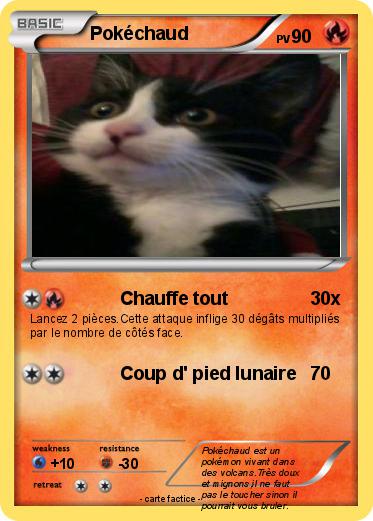 Pokemon Pokéchaud