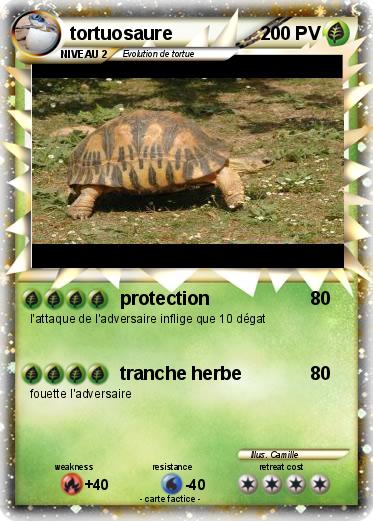 Pokemon tortuosaure