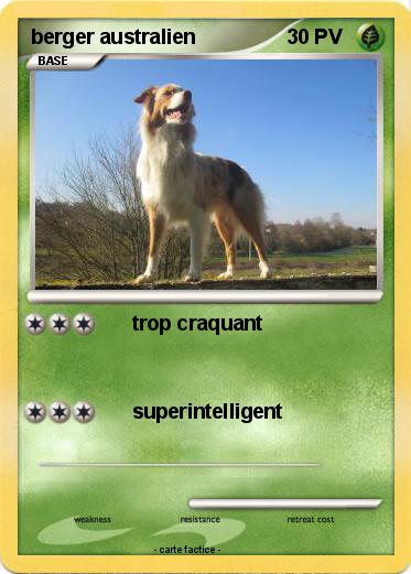 Pokemon berger australien