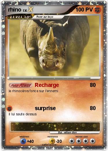 Pokemon rhino