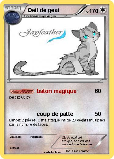Pokemon Oeil de geai