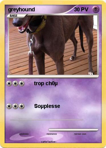 Pokemon greyhound