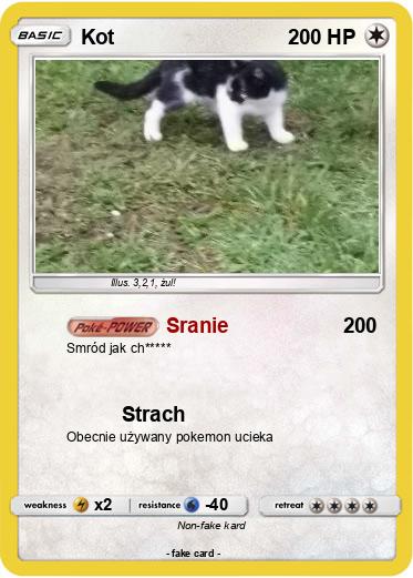 Pokemon Kot