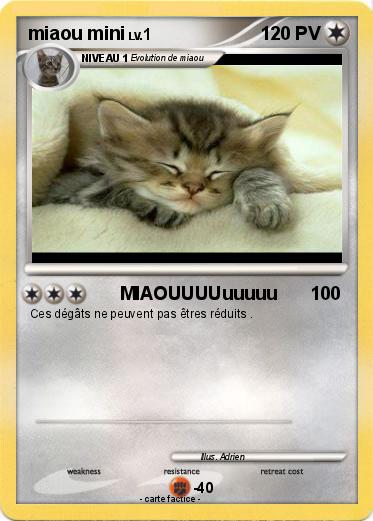 Pokemon miaou mini