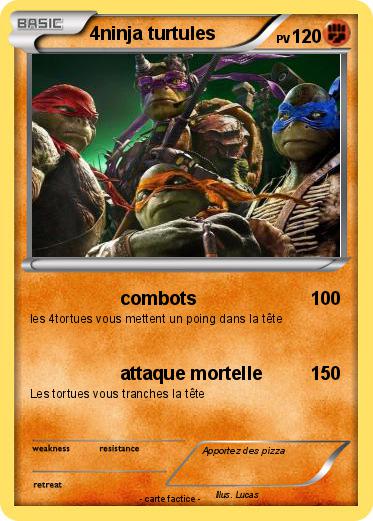 Pokemon 4ninja turtules