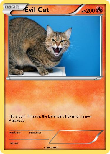 Pokemon Evil Cat