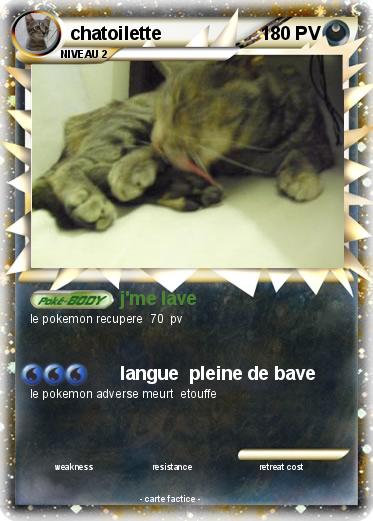 Pokemon chatoilette