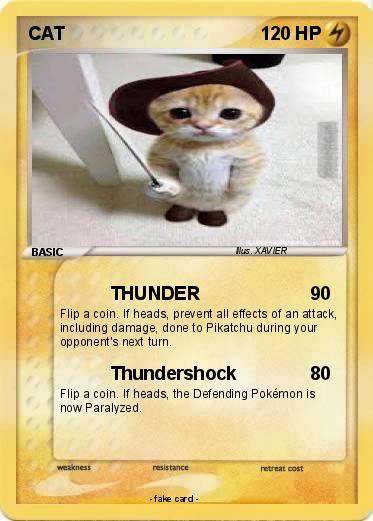 Pokemon CAT