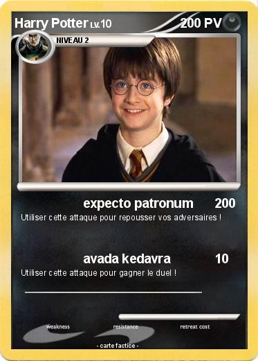 Pokemon Harry Potter
