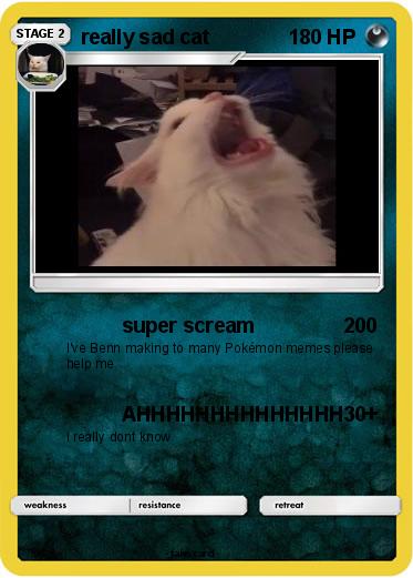 Pokemon really sad cat