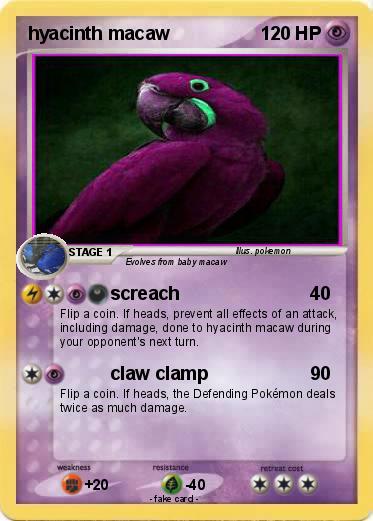 Pokemon hyacinth macaw