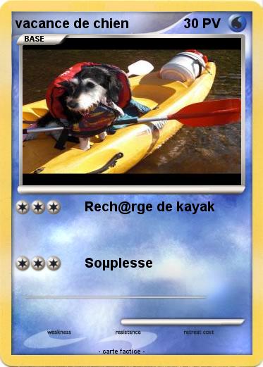 Pokemon vacance de chien
