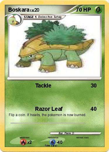 Pokemon Boskara