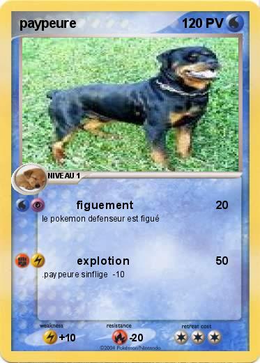 Pokemon paypeure