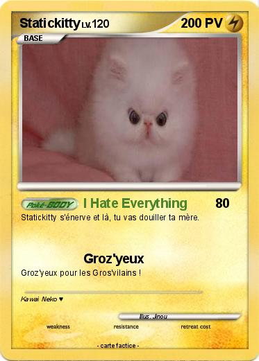 Pokemon Statickitty