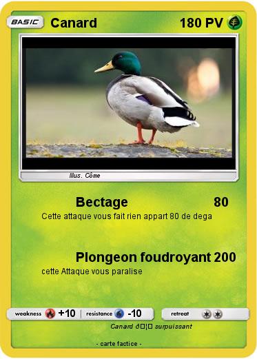 Pokemon Canard