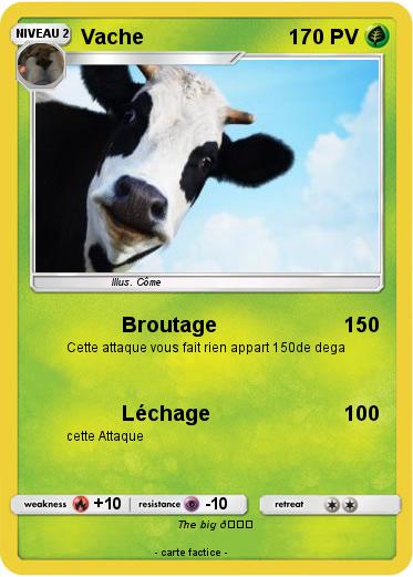 Pokemon Vache