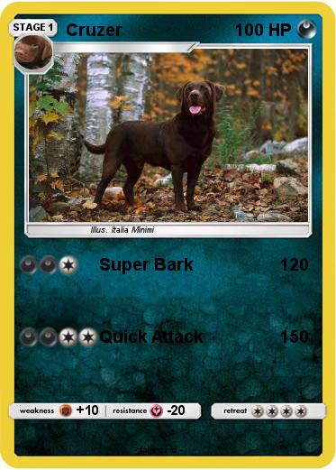 Pokemon Cruzer