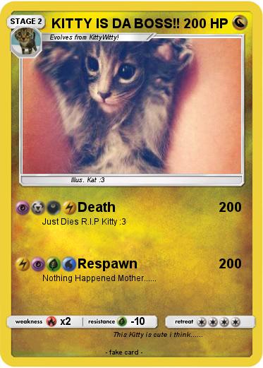 Pokemon KITTY IS DA BOSS!!