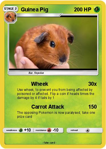 Pokemon Guinea Pig