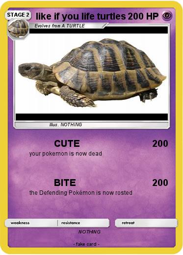 Pokemon like if you life turtles