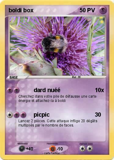 Pokemon boldi box