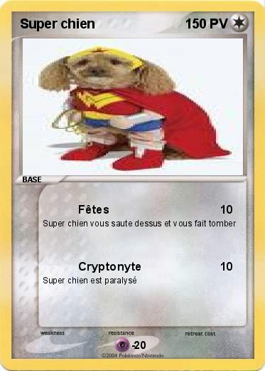 Pokemon Super chien