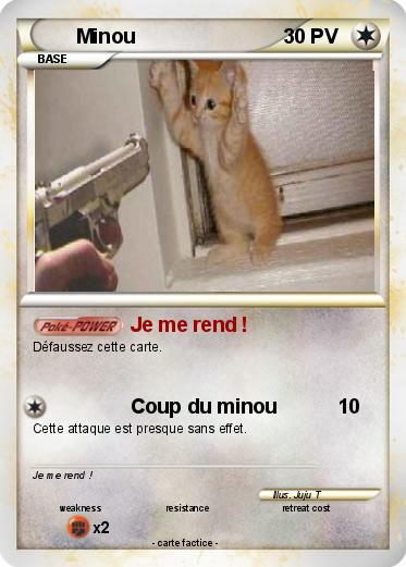 Pokemon Minou