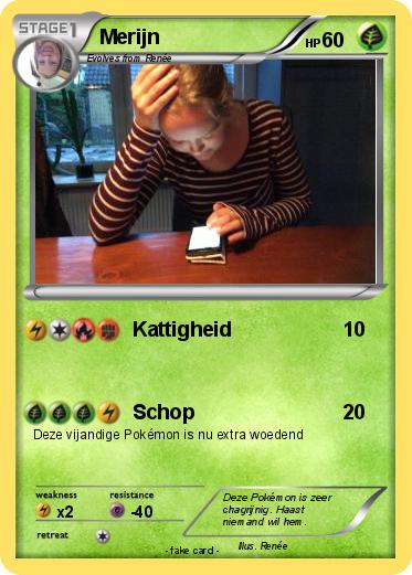 Pokemon Merijn