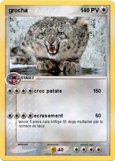 Pokemon grocha