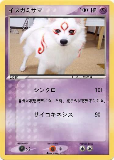 Pokemon イヌガミサマ