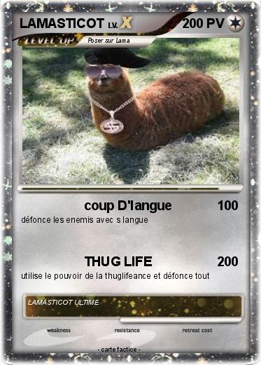 Pokemon LAMASTICOT