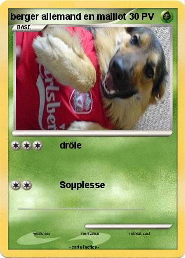 Pokemon berger allemand en maillot