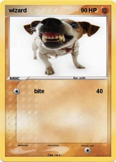Pokemon wizard