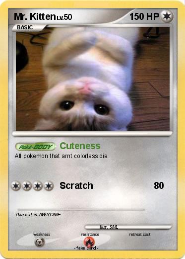 Pokemon Mr. Kitten