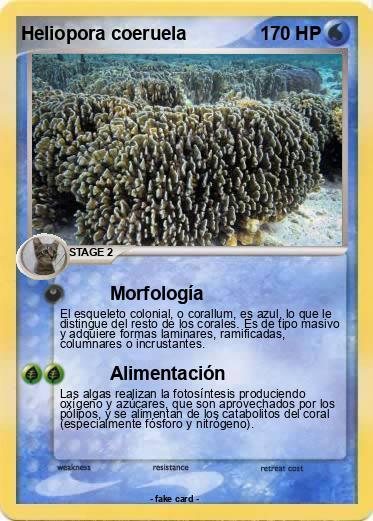 Pokemon Heliopora coeruela