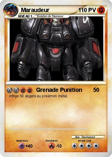 Pokemon Maraudeur