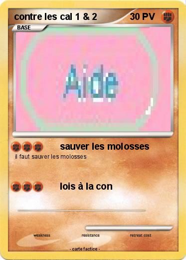 Pokemon contre les cal 1 & 2