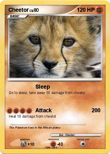 Pokemon Cheetor