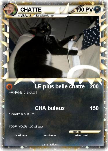 Pokemon CHATTE