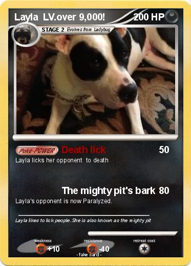 Pokemon Layla  LV.over 9,000!