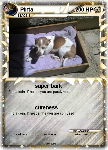 Pokemon Pinta