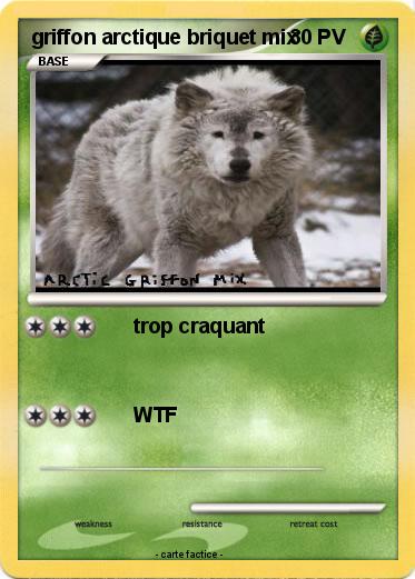 Pokemon griffon arctique briquet mix