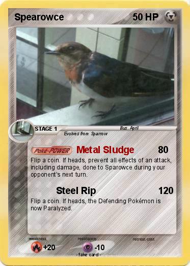 Pokemon Spearowce