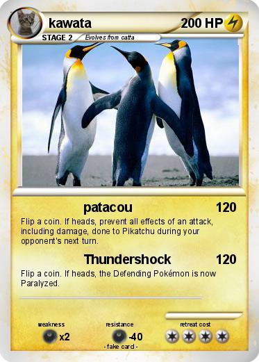 Pokemon kawata