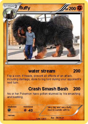 Pokemon fluffy