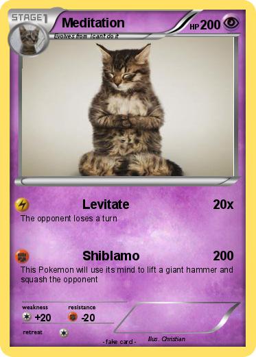 Pokemon Meditation